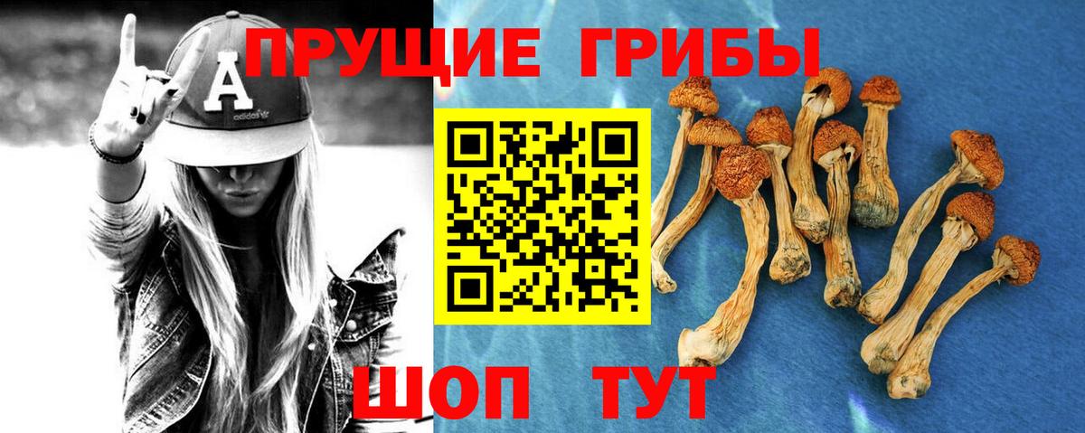 Каннабис  Зеленокумск  Мефедрон кристаллы  Вход с VPN  КОКАИН  ГАШ  Меф  Гашиш 