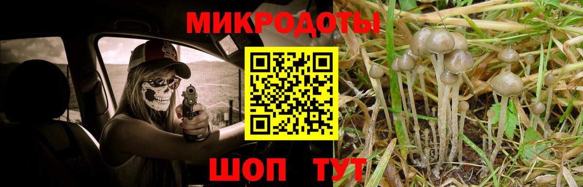 Псилоцибиновые грибы MAGIC MUSHROOMS  Галлюциногенные грибы мухоморы  Вход с VPN  Зеленокумск 